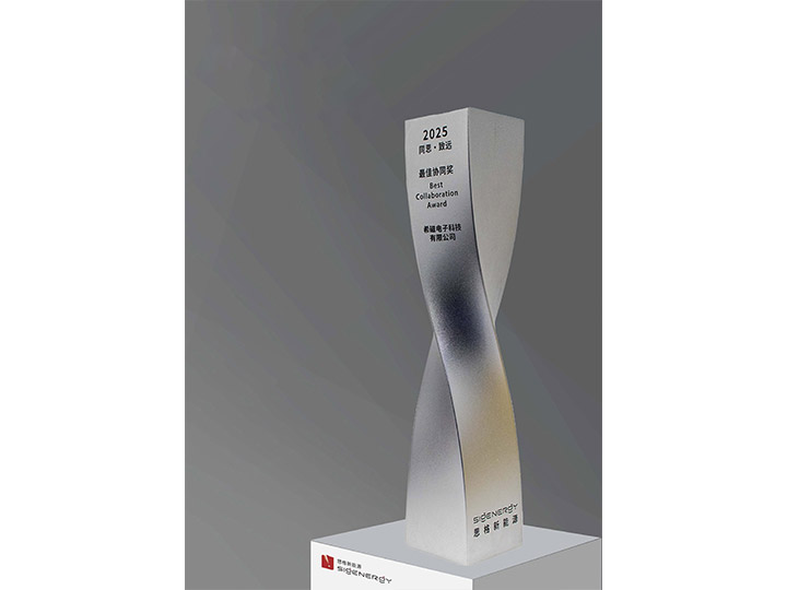 2025年 思格新能源 最佳协同奖